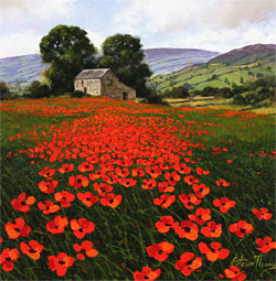 Steve Thoms, Original oil painting on panel, Yorkshire Poppies