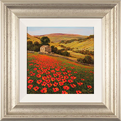 Steve Thoms, Original oil painting on panel, Poppy Field, Yorkshire Dales Medium image. Click to enlarge