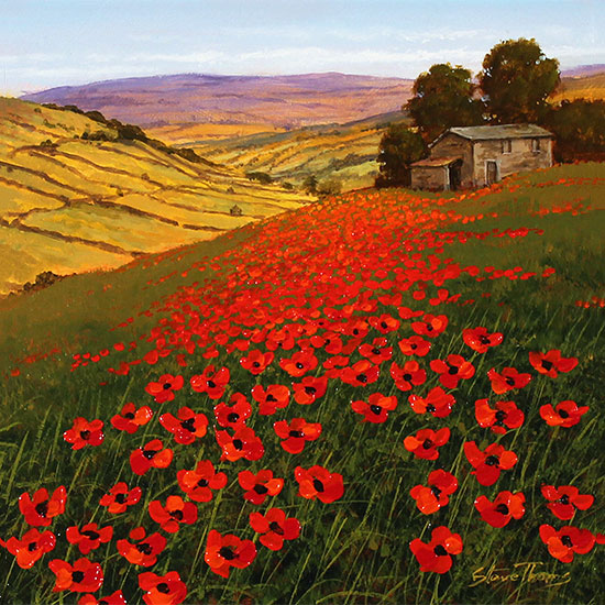 Steve Thoms, Original oil painting on panel, Yorkshire Poppies No frame image. Click to enlarge