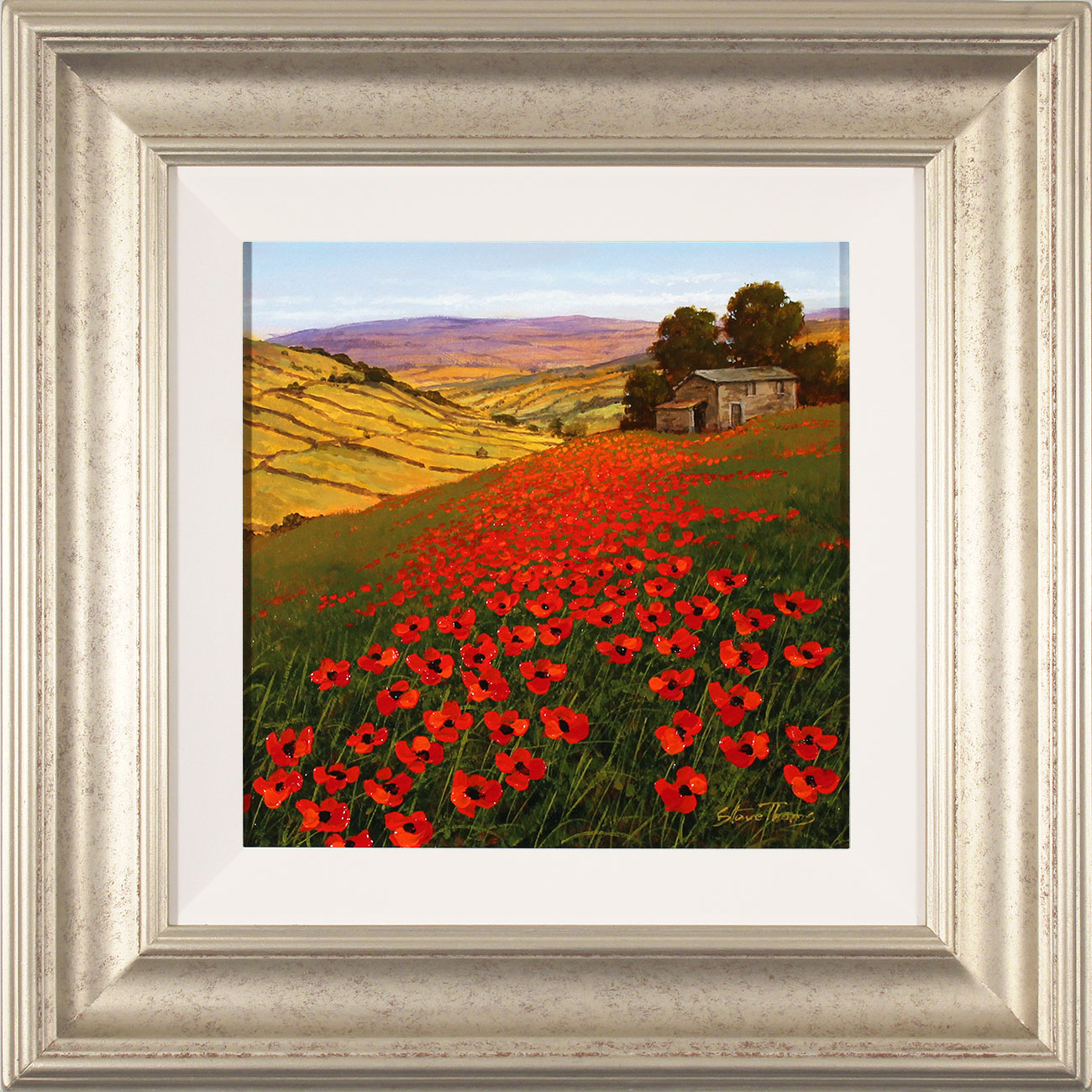 Steve Thoms, Original oil painting on panel, Yorkshire Poppies Click to enlarge