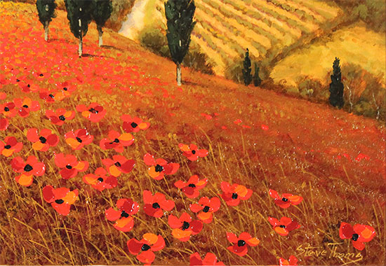Steve Thoms, Original oil painting on panel, Tuscan Poppies Signature image. Click to enlarge