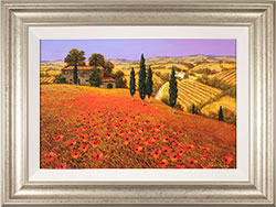 Steve Thoms, Original oil painting on panel, Tuscan Poppies