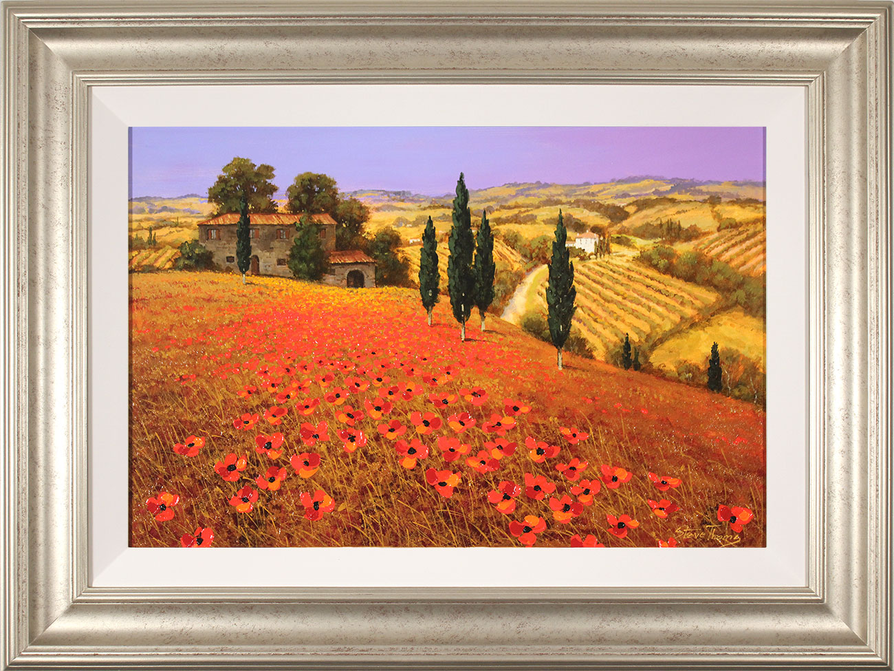 Steve Thoms, Original oil painting on panel, Tuscan Poppies Click to enlarge