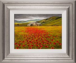 Steve Thoms, Original oil painting on panel, Poppy Field, Yorkshire Dales