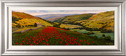 Steve Thoms, Original oil painting on panel, Wild Poppies, Yorkshire Dales Medium image. Click to enlarge