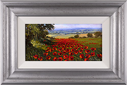 Steve Thoms, Original oil painting on panel, Yorkshire Poppies