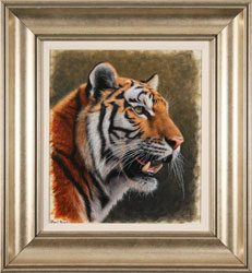 Stuart Herod, Original oil painting on panel, Tiger Medium image. Click to enlarge