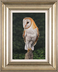 Stuart Herod, Original oil painting on panel, Barn Owl