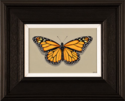 Stuart Herod, Original oil painting on panel, Monarch Medium image. Click to enlarge