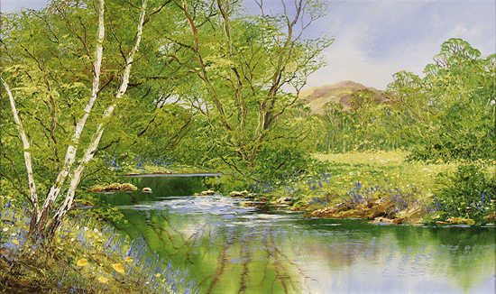 Terry Evans, Original oil painting on canvas, Spring Bluebells, Yorkshire Dales