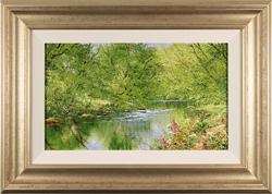 Terry Evans, Original oil painting on canvas, Summer by the Beck Medium image. Click to enlarge