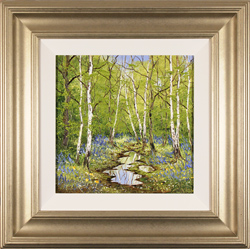 Terry Evans, Original oil painting on canvas, Silver Birches in Spring Medium image. Click to enlarge