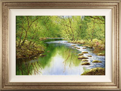 Terry Evans, Original oil painting on canvas, Midsummer Wood Medium image. Click to enlarge