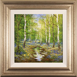 Terry Evans, Original oil painting on canvas, Birch and Bluebell Medium image. Click to enlarge