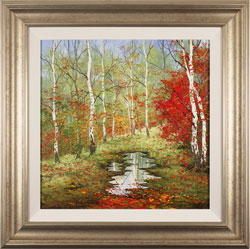 Terry Evans, Original oil painting on canvas, Autumn Birch Medium image. Click to enlarge