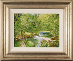 Terry Evans, Original oil painting on canvas, Yorkshire Dales Beck Medium image. Click to enlarge