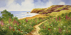Terry Evans, Original oil painting on canvas, Coastal Walk Medium image. Click to enlarge