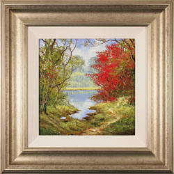 Terry Evans, Original oil painting on canvas, Early Autumn Wood Medium image. Click to enlarge