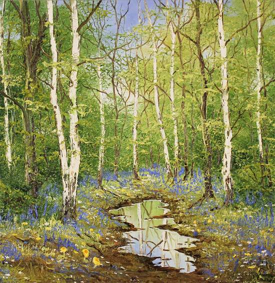 Terry Evans, Original oil painting on canvas, Forgotten Forest