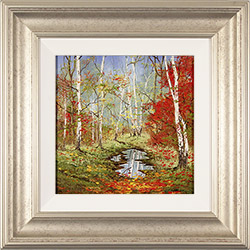 Terry Evans, Original oil painting on canvas, Autumn Birch Wood  Medium image. Click to enlarge