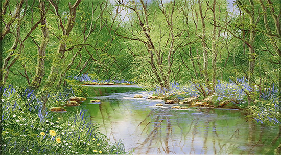Terry Evans, Original oil painting on canvas, The Bluebell Wood No frame image. Click to enlarge