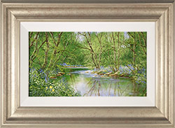 Terry Evans, Original oil painting on canvas, The Bluebell Wood Medium image. Click to enlarge