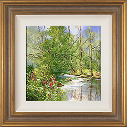 Terry Evans, Original oil painting on canvas, Woodland Stream Medium image. Click to enlarge