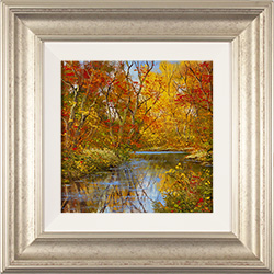 Terry Evans, Original oil painting on panel, Autumn Reflections Medium image. Click to enlarge