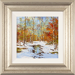 Terry Evans, Original oil painting on panel, Woodland Glade Medium image. Click to enlarge