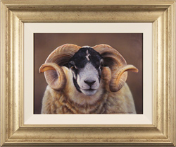 Wayne Westwood, Original oil painting on panel, Swaledale Ram Medium image. Click to enlarge