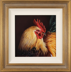 Wayne Westwood, Original oil painting on panel, Cockerel Medium image. Click to enlarge