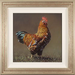 Wayne Westwood, Original oil painting on panel, The Cockerel Medium image. Click to enlarge