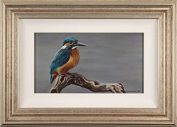 Wayne Westwood, Original oil painting on panel, Kingfisher Medium image. Click to enlarge