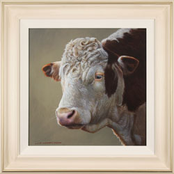 Wayne Westwood, Original oil painting on panel, Hereford Bull Medium image. Click to enlarge