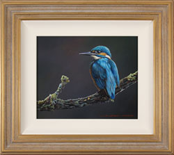 Wayne Westwood, Original oil painting on panel, Kingfisher Medium image. Click to enlarge
