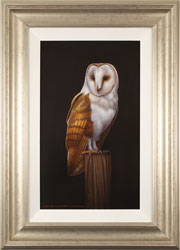 Wayne Westwood, Original oil painting on panel, Barn Owl Medium image. Click to enlarge