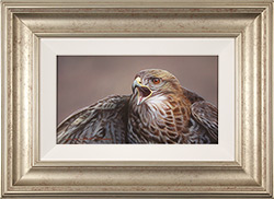 Wayne Westwood, Original oil painting on panel, Buzzard  Medium image. Click to enlarge