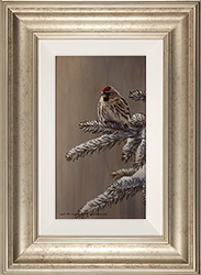 Wayne Westwood, Original oil painting on panel, Forest Frost, Redpoll in Winter  Medium image. Click to enlarge