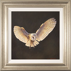 Wayne Westwood, Original oil painting on panel, Silent Flight Medium image. Click to enlarge