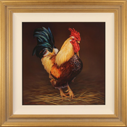 Wayne Westwood, Original oil painting on panel, The Cockerel Medium image. Click to enlarge