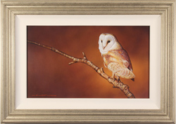 Wayne Westwood, Original oil painting on panel, Barn Owl Medium image. Click to enlarge