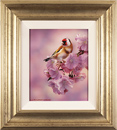 Wayne Westwood, Original oil painting on panel, Goldfinch Medium image. Click to enlarge
