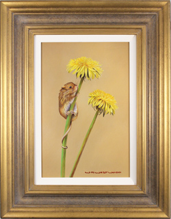 Wayne Westwood, Original oil painting on panel, Field Mouse Medium image. Click to enlarge