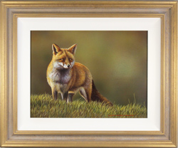 Wayne Westwood, Original oil painting on panel, The Fox Medium image. Click to enlarge