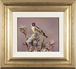 Wayne Westwood, Original oil painting on panel, Goldfinch Medium image. Click to enlarge