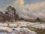 Wendy Reeves, Original oil painting on canvas, Winter in the Scottish Highlands Medium image. Click to enlarge